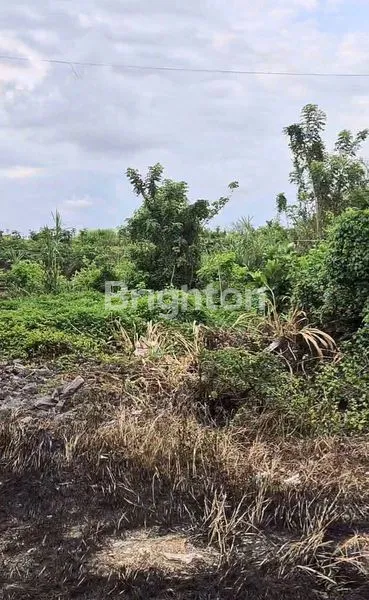 image DIJUAL MURAH TANAH LOKASI STRATEGIS DI SENAPAHAN, TABANAN (3)
