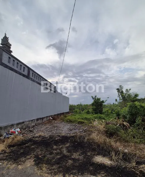 image DIJUAL MURAH TANAH LOKASI STRATEGIS DI SENAPAHAN, TABANAN (2)