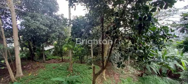 image VILLA MEWAH SIAP USAHA DI CIMENYAN BANDUNG (5)