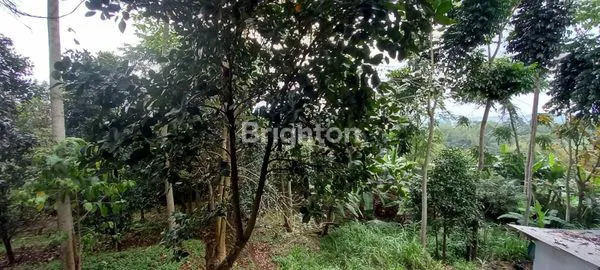 image VILLA MEWAH SIAP USAHA DI CIMENYAN BANDUNG (7)