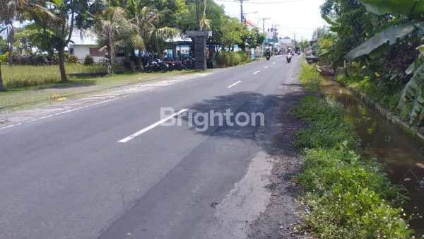 image TANAH 60 ARE DI JALAN WARIBANG – LOKASI STRATEGIS & AKSES UTAMA COCOK UNTUK INVESTASI BESAR (3)