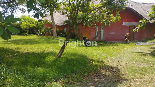 image TANAH 60 ARE DI JALAN WARIBANG – LOKASI STRATEGIS & AKSES UTAMA COCOK UNTUK INVESTASI BESAR (1)