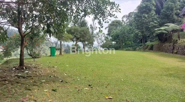 image TANAH LUAS 8.000M² DI CISARUA BOGOR (4)