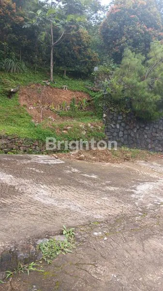 image TANAH LUAS 8.000M² DI CISARUA BOGOR (3)