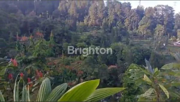 image TANAH LUAS 8.000M² DI CISARUA BOGOR (1)