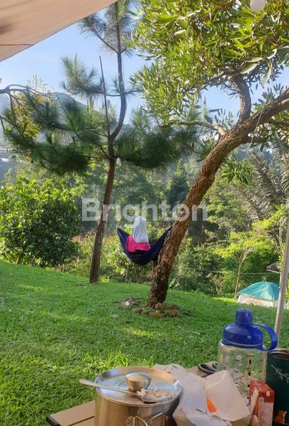 image TANAH LUAS 8.000M² DI CISARUA BOGOR (8)