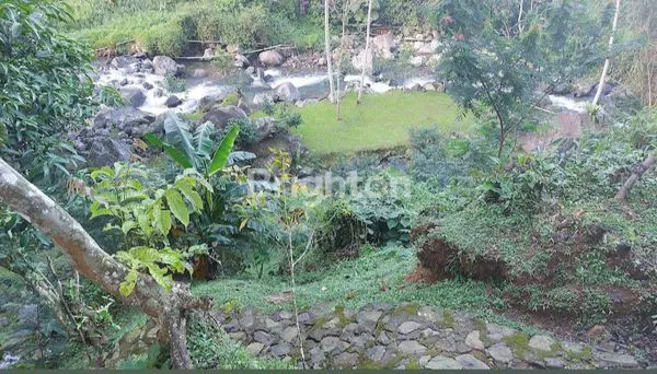 image TANAH LUAS 8.000M² DI CISARUA BOGOR (2)