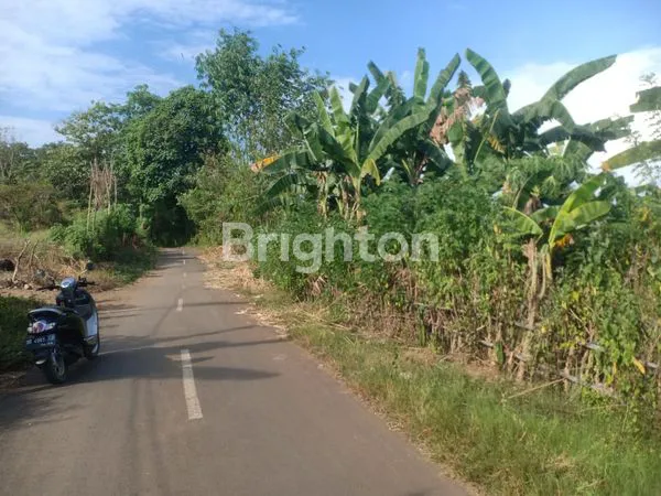 image TANAH KEBUN DAIRYLAND GOWA DI PAKATTO DEKAT JALAN MALINO MAKASSAR\\\\N (5)