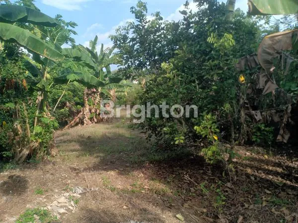 image TANAH KEBUN DAIRYLAND GOWA DI PAKATTO DEKAT JALAN MALINO MAKASSAR\\\\N (4)