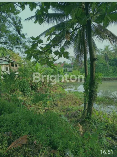 DIJUAL TANAH DI CIAMIS