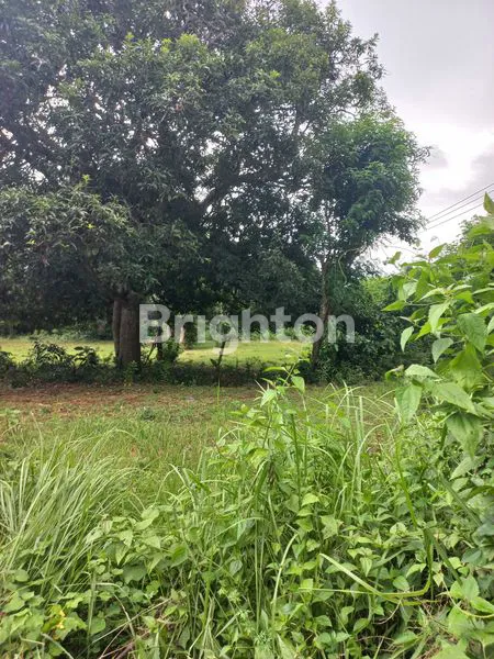 image TANAH DISEWAKAN JL RAYA ULUWATU (4)