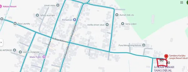 DIJUAL CEPAT : TANAH DI KELUSA - PAYANGAN - GIANYAR\\NBALI