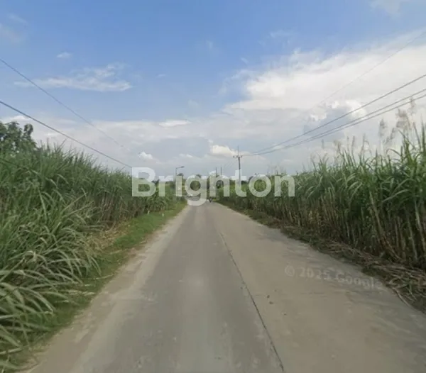 image TANAH KAVLING SIAP BANGUN UNTUK GUDANG ATAU PABRIK DI AREA INDUSTRI, DI MOJOKERTO (4)