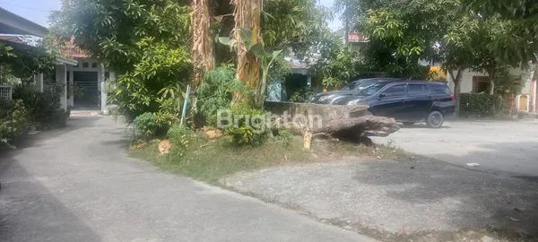 image RUMAH JUAL RUMBAI (2)