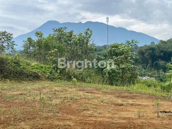 LAHAN MEGAMENDUNG COCOK UTK VILA