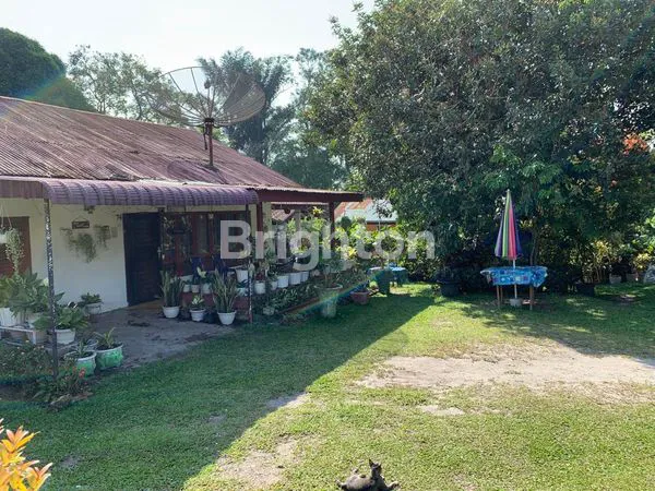 image RUMAH KOS-KOSAN DAN PAVILIUN (1)