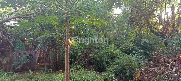 image TANAH GN PUTRI (2)