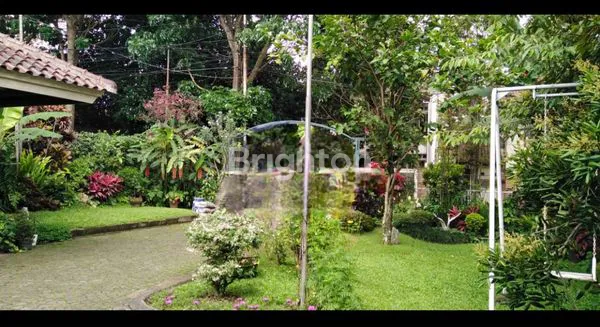 image HUNIAN DENGAN HALAMAN LUAS HIJAU NYA POHON MEMBUAT BETAH PENGHUNI NYA , LOKASI BANDUNG UTARA. JAWA BARAT INDONESIA (1)