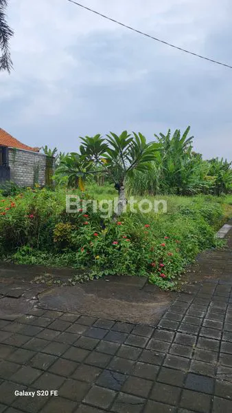 image KAVLING SIAP BANGUN DEKAT PANTAI KEDUNGU DI NYITDAH, KEDIRI, TABANAN (1)