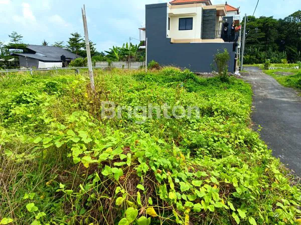 TANAH DATAR DI KOTA KEDIRI TABANAN BALI SANGAT BAGUS DIBANGUN RUMAH/VILLA ATAU UNTUK INVESTASI