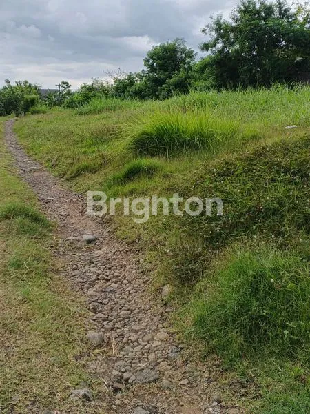 image TANAH DIJUAL 200 M2 LOKASI BALER BALE AGUNG KOTA NEGARA JEMBRANA BALI (4)