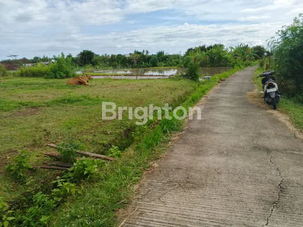 image TANAH DIJUAL 200 M2 LOKASI BALER BALE AGUNG KOTA NEGARA JEMBRANA BALI (3)