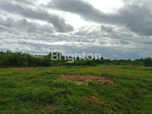 image TANAH DIJUAL 200 M2 LOKASI BALER BALE AGUNG KOTA NEGARA JEMBRANA BALI (8)