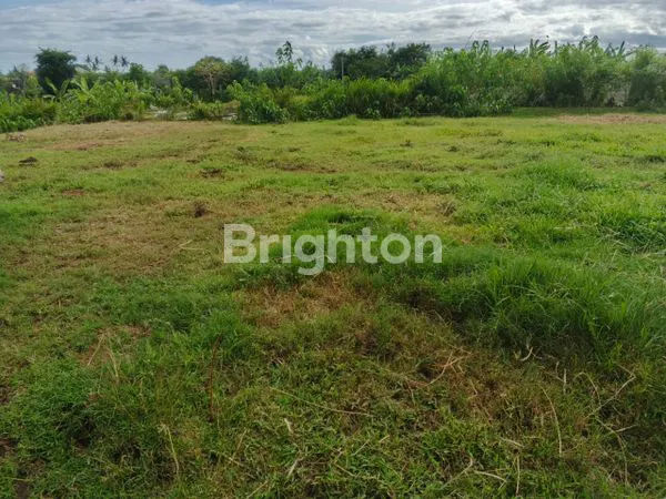 image TANAH DIJUAL 200 M2 LOKASI BALER BALE AGUNG KOTA NEGARA JEMBRANA BALI (6)