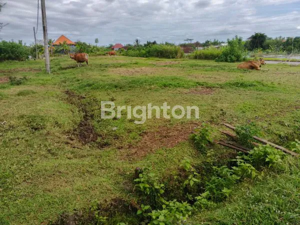image TANAH DIJUAL 200 M2 LOKASI BALER BALE AGUNG KOTA NEGARA JEMBRANA BALI (7)