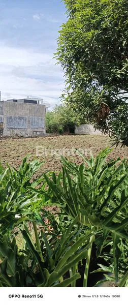 image TANAH TAPAK RUMAH DI GIVENCY ONE  (8)