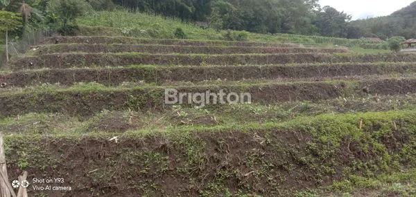 image LAHAN PERTANIAN SIAP TANAM (3)