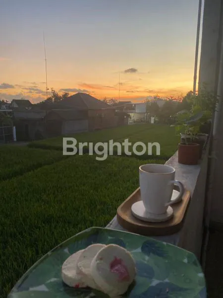 image RUMAH MODERN 1.5 LANTAI DI JOGJA KOTA – LOKASI STRATEGIS, VIEW SAWAH ASRI, SIAP HUNI! (6)