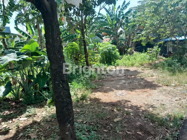 image TANAH, 300M, SHM, BEBAS BANJIR (1)