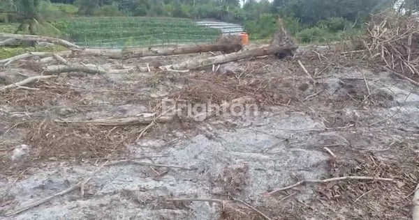 image TERITIP TANAH KAVLING GBP (3)