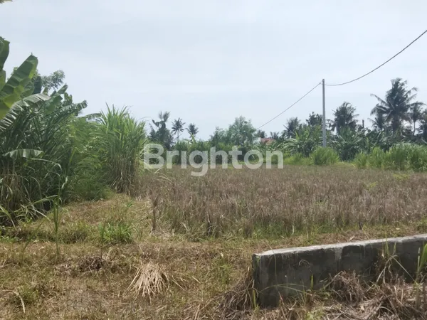 Gambar Property TANAH STRATEGIS 2,4 ARE DI PERING GIANYAR