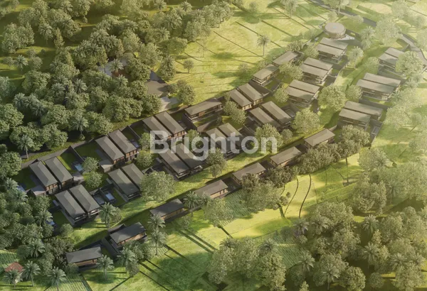 image OXO THE RESIDENCE (1)