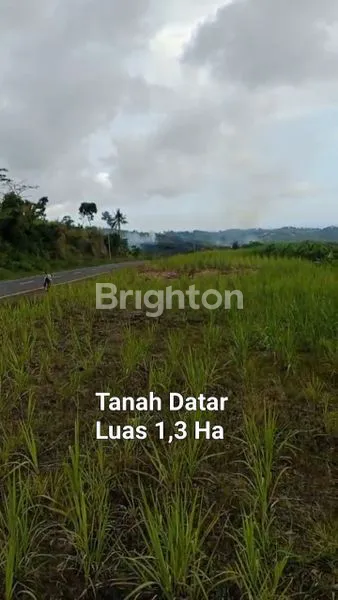 image TANAH DATAR PROSPEKTIF NOL JLS WATES - BLITAR VIEW LONG PANTAI (1)