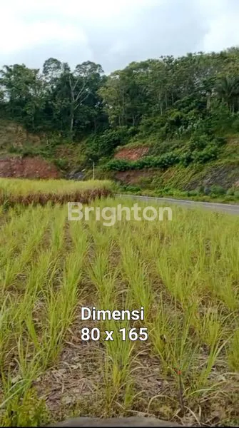 image TANAH DATAR PROSPEKTIF NOL JLS WATES - BLITAR VIEW LONG PANTAI (2)