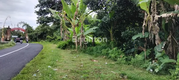 image TANAH  VIEW GUNUNG BATUKARU SAMPING CHOCOLATE ARGOWISATA TABANAN (2)