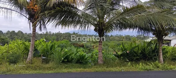 image TANAH  VIEW GUNUNG BATUKARU SAMPING CHOCOLATE ARGOWISATA TABANAN (1)
