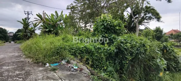 image TANAH PREMIUM SAMPING CAU CHOCOLATE TABANAN (2)