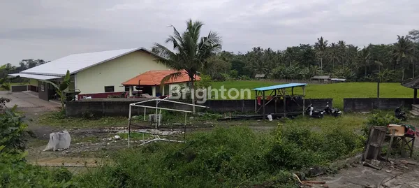 image TANAH PREMIUM SAMPING CAU CHOCOLATE TABANAN (3)