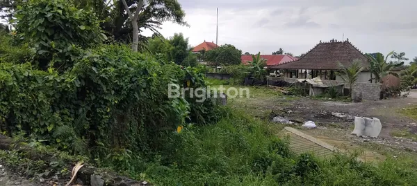 image TANAH PREMIUM SAMPING CAU CHOCOLATE TABANAN (4)