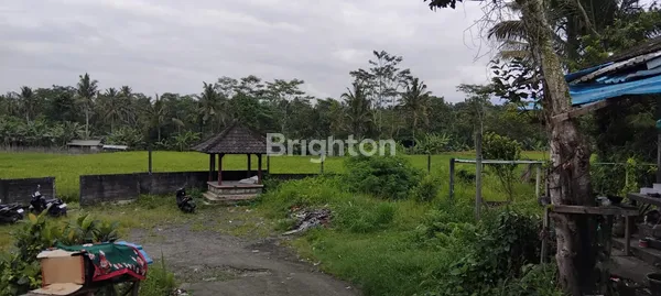 image TANAH PREMIUM SAMPING CAU CHOCOLATE TABANAN (5)