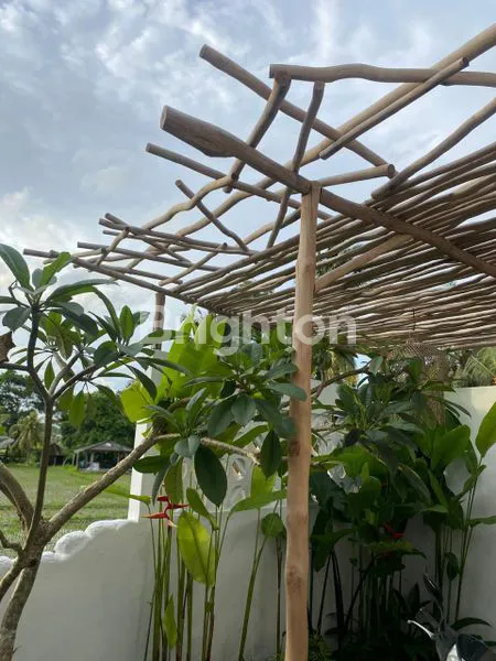 image RUMAH BARU BISA SBG VILLA MUNGIL INDAH DENGAN VIEW SAWAH FULL SUNSET DI TABANAN BALI..COCOK UTK TINGGAL ATAU UNTUK DISEWAKAN (6)