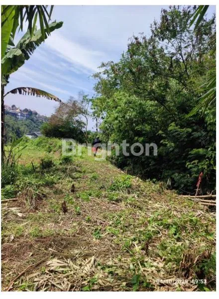 image TANAH IMPIAN DI BANDUNG UTARA (7)