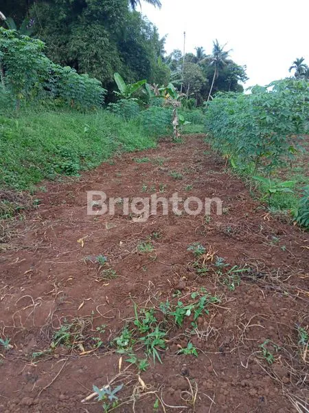 image LAHAN 1124M2 MEGAMENDUNG PUNCAK (3)