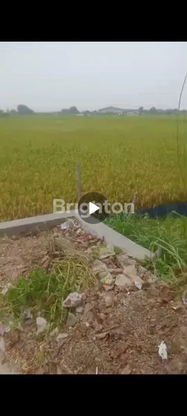 LAHAN 1000M2 KARAWANG