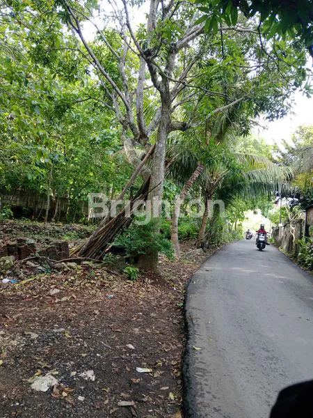 TANAH DI JIMBARAN ZONA KUNING BAGUS UNTUK PERUMAHAN