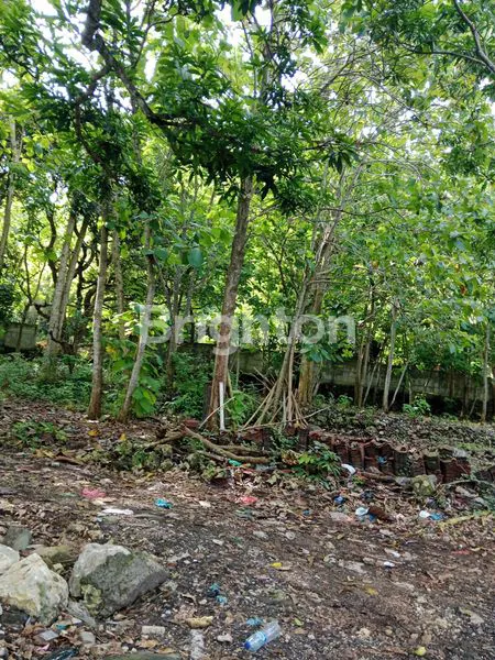 TANAH JIMBARAN POTENSIAL BISNIS